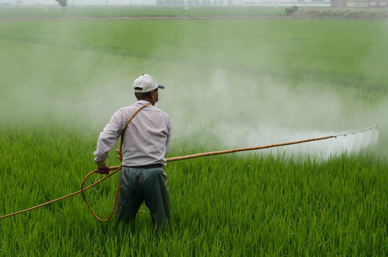 Imagen principal del artículo: Costa Rica con dependencia de plaguicidas: Gobierno dice que no puede prohibir productos a la ligera