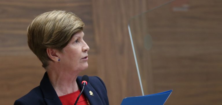 Diputada independiente propone crear Colegio de profesionales en acupuntura, medicina china y afines