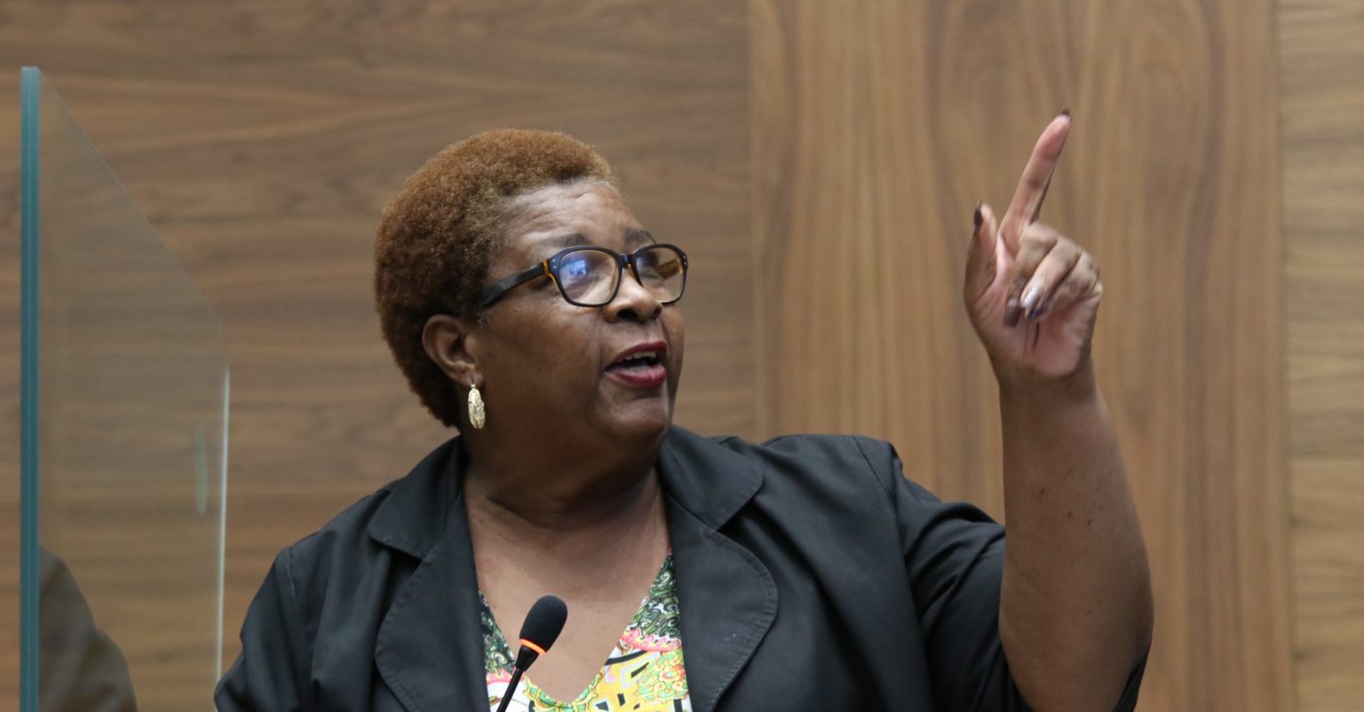 Imagen principal del artículo: Diputada de Nueva República propone duplicar plazo de vigencia de acciones afirmativas para población afrodescendiente