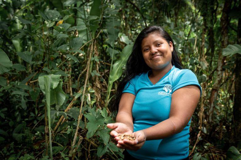 PNUD posiciona los desafíos ambientales como prioridad para el futuro de Costa Rica
