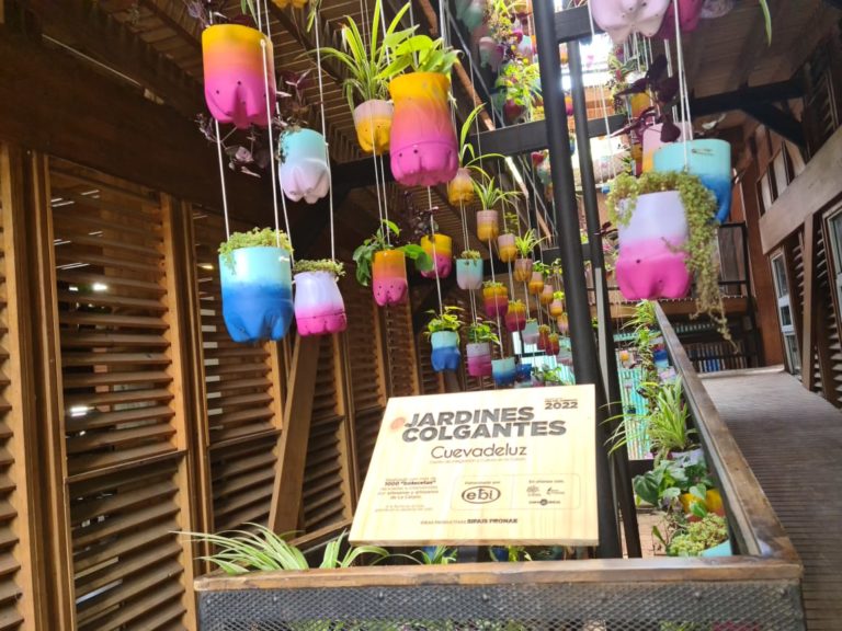 La Carpio se llena de color: abren jardín colgante hecho con material reciclable
