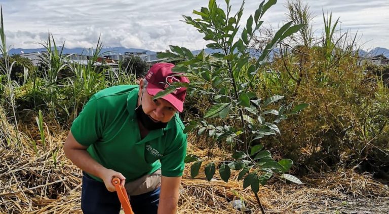 Comunidad de La Uruca planta árboles para reactivar sus zonas verdes