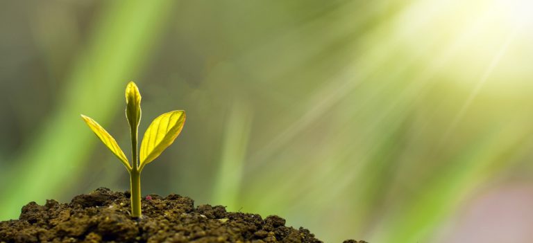 Costa Rica: una mirada al futuro
