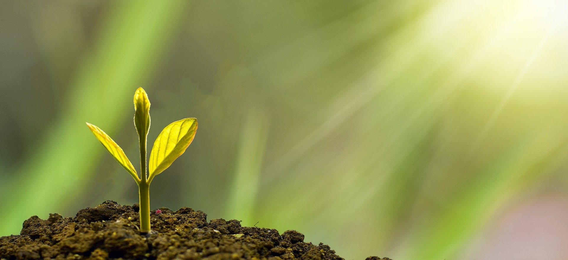 Imagen principal del artículo: Inclusión productiva: un desafío no resuelto en nuestro enfoque de política macroeconómica