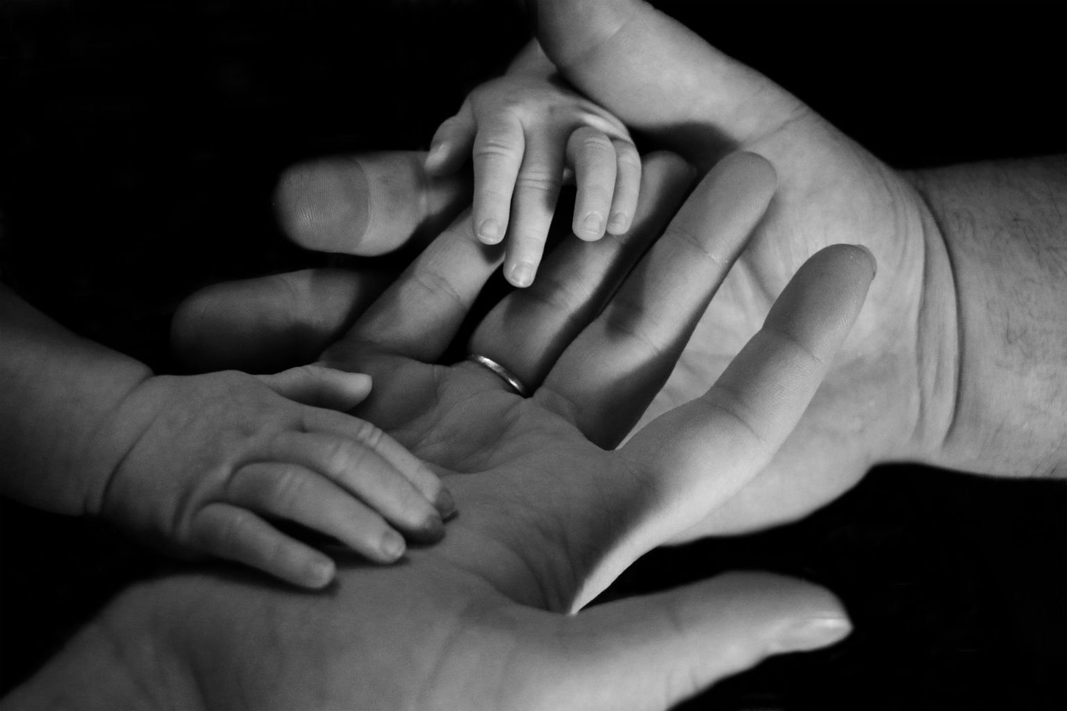 Imagen principal del artículo: La metamorfosis que sufre la familia “tradicional” en la actualidad