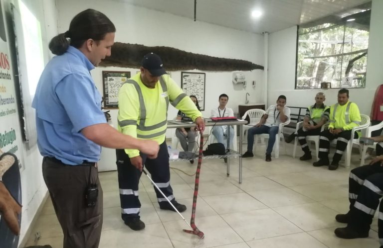 Funcionarios de la Ruta 27 se capacitan para ayudar a animales encontrados en la vía