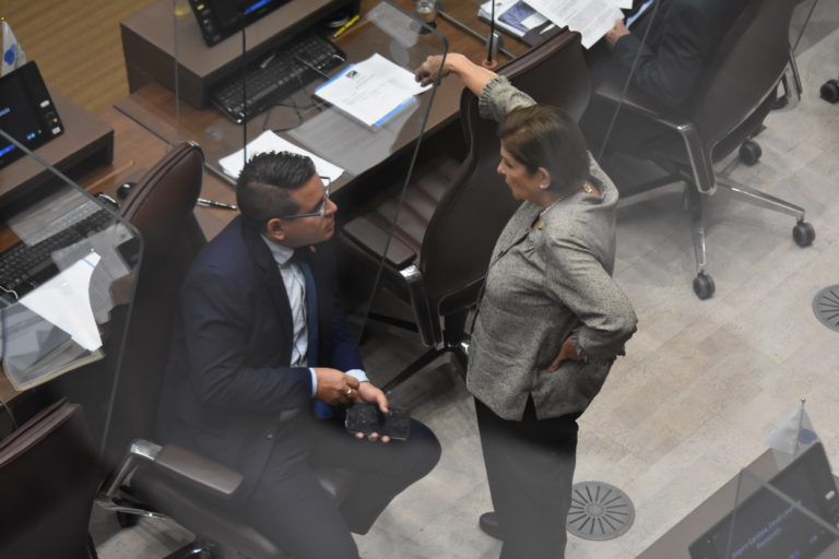 Entre la impunidad y la conveniencia