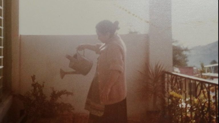 La maternidad: un camino de aciertos y desaciertos