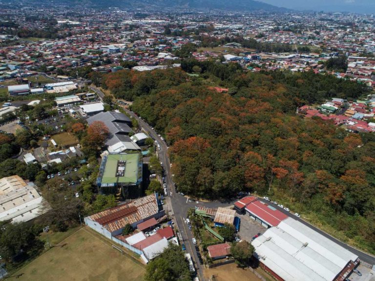 Municipalidades se comprometen a reverdecer ciudades y mejorar las áreas urbanas
