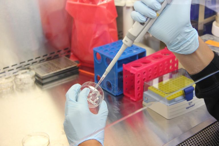 Resistencia antimicrobiana: una amenaza en crecimiento