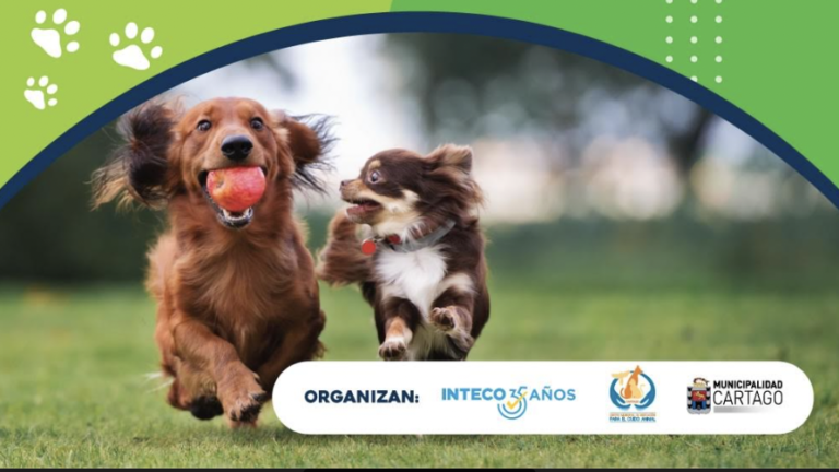 Municipalidad de Cartago brindará charla acerca de la certificación Pet Friendly