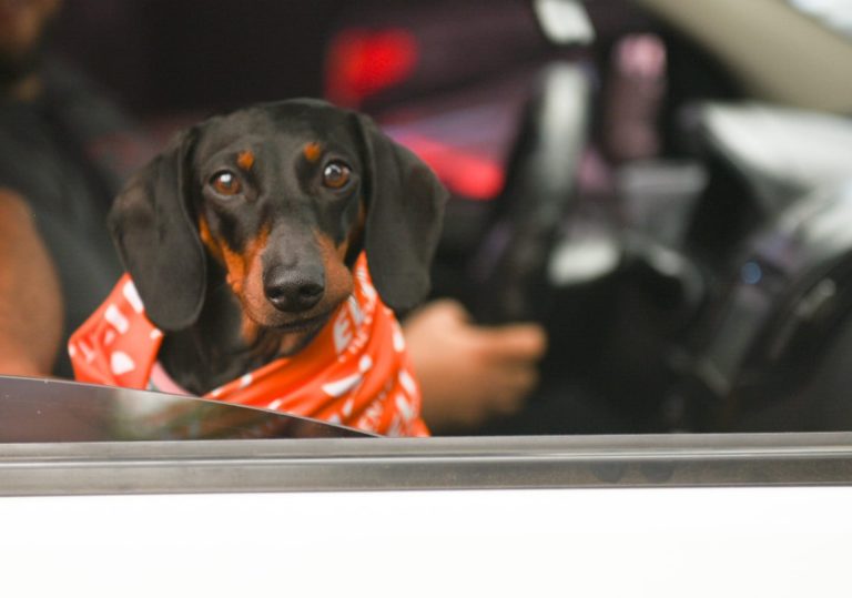 Curul Liberal: una visión parcial de lo que acontece en la Asamblea Legislativa