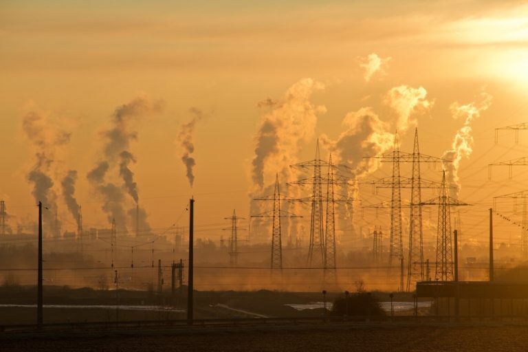 El ciclo sin fin de coexistir con el ambiente