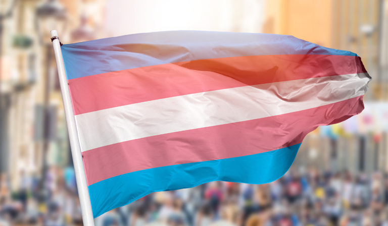 Brasil elige por primera vez a tres diputadas federales transexuales