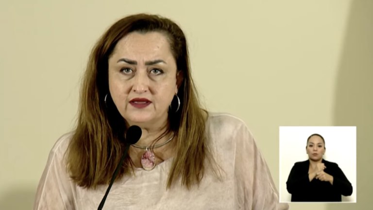 Migración sobre venezolanos: "Valoraremos qué acciones tomar para desincentivar la permanencia de los que quieran quedarse en el país"