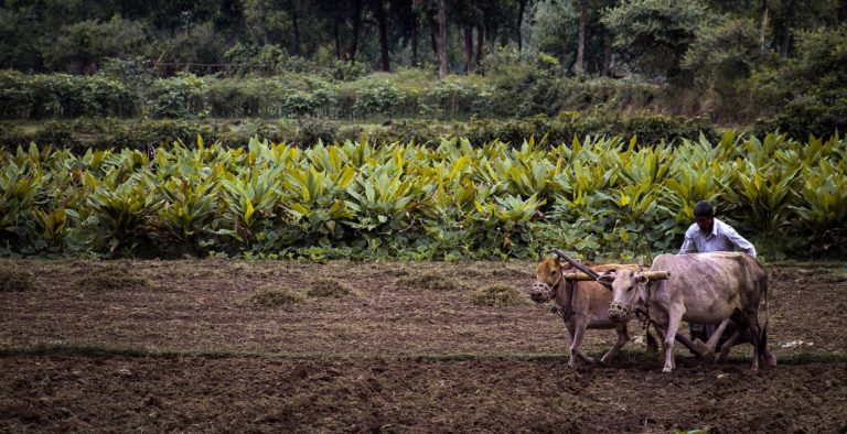 Octubre, un desafío creciente en la seguridad alimentaria