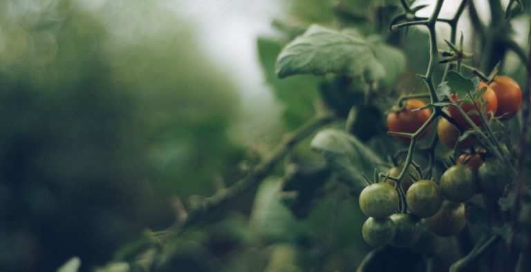 Reformar el PAI: urgente, necesario, pero sobre bases técnicamente robustas