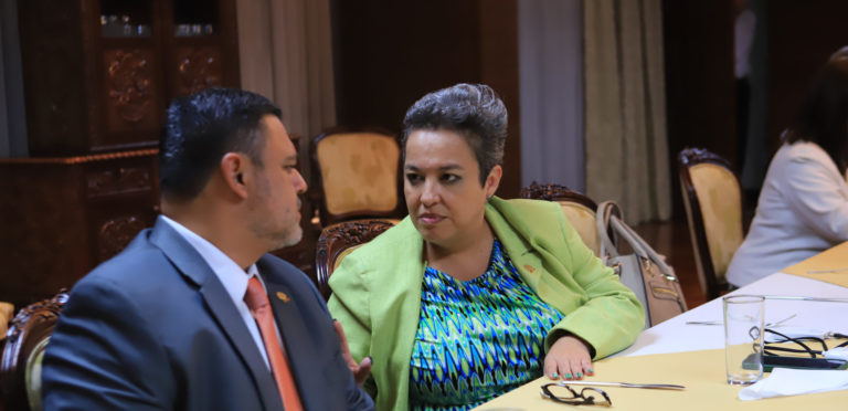 Comisión de Seguridad arremete contra diputada del PLN por mociones a proyectos sobre crimen organizado