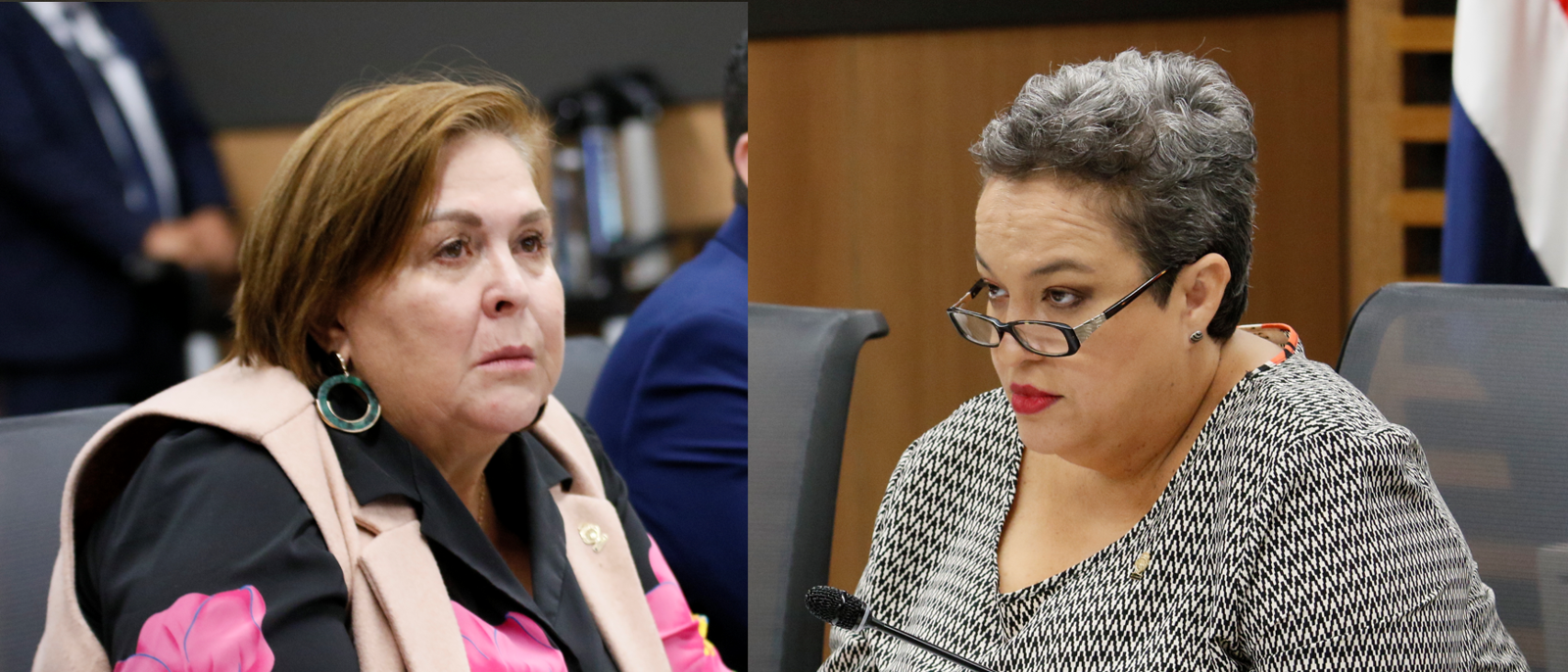 Imagen principal del artículo: A 12 días de su entrada en vigencia diputadas del PLN quieren postergar nueva Ley de Contratación Pública