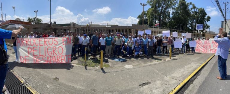 Productores de arroz presentan demanda por efectos de la “Ruta del Arroz”