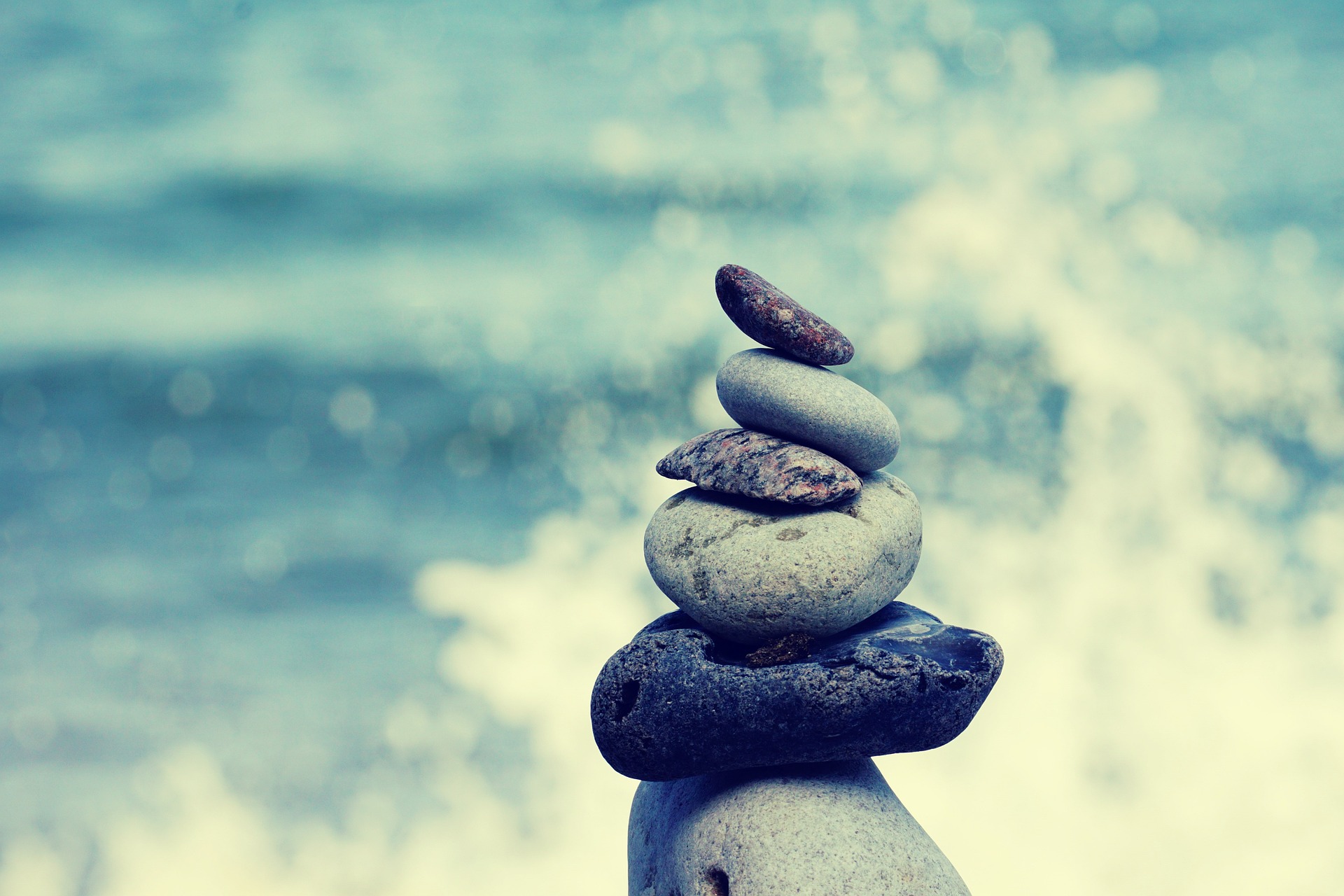 Imagen principal del artículo: Coexistir