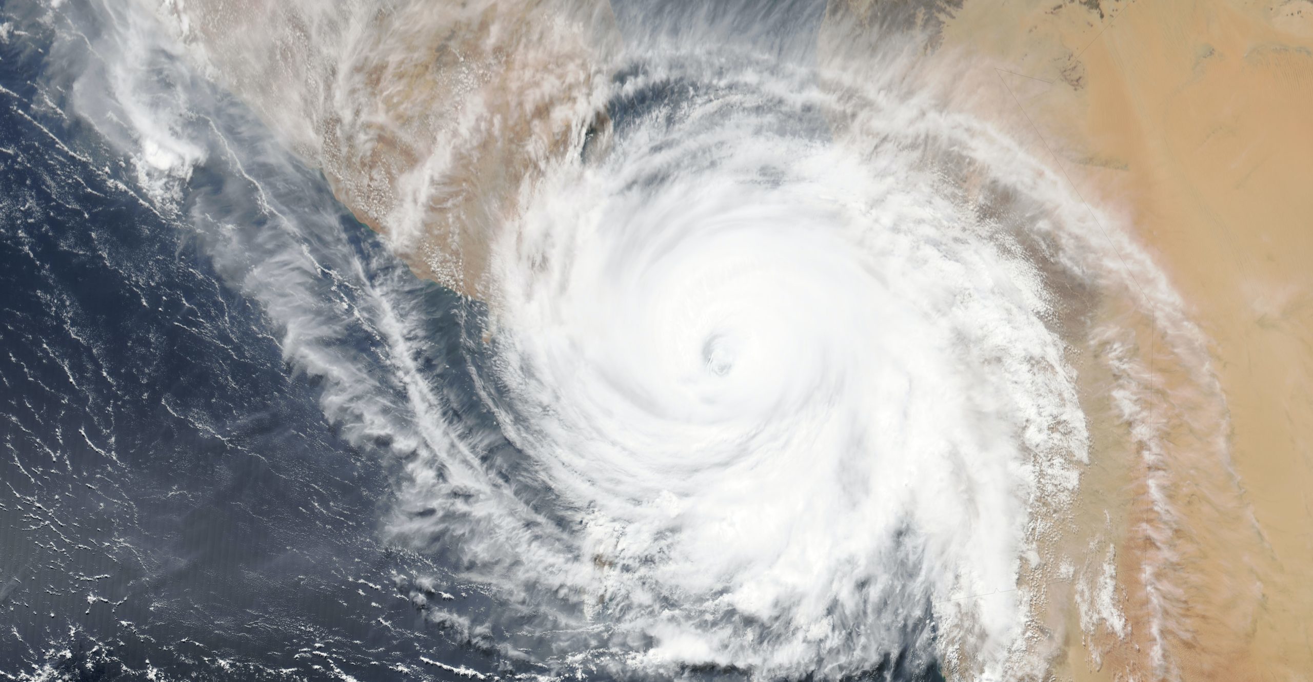 Imagen principal del artículo: De la resistencia a los primeros pasos hacia una justicia climática