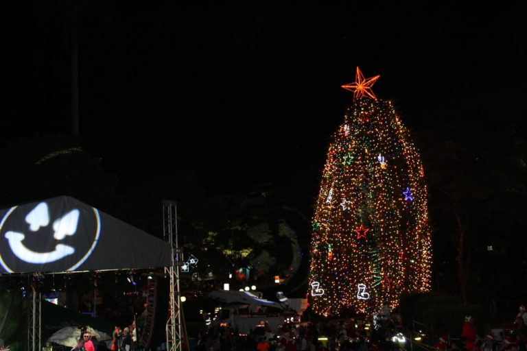 Árbol de navidad del Hospital de Niños se iluminará por vez número 58 en la historia
