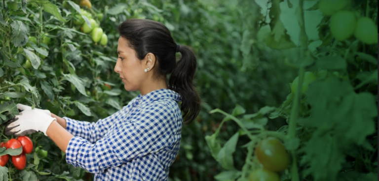Programa “Mujeres emprendiendo sueños” capacitará a emprendedoras de zonas rurales