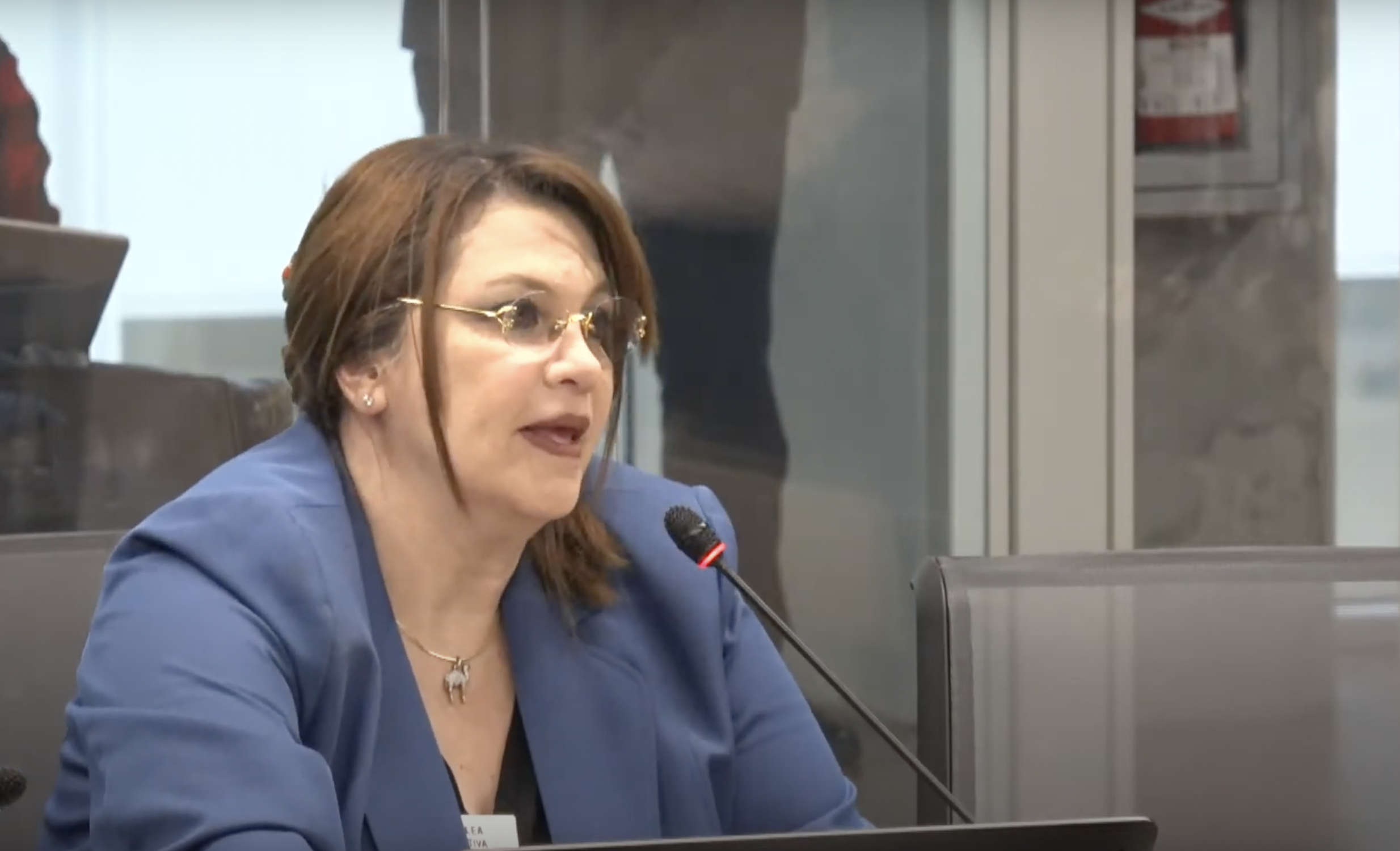 Imagen principal del artículo: Presidenta del "partido chavista" confirma pago a trol: "Le hice un favor a una amiga"