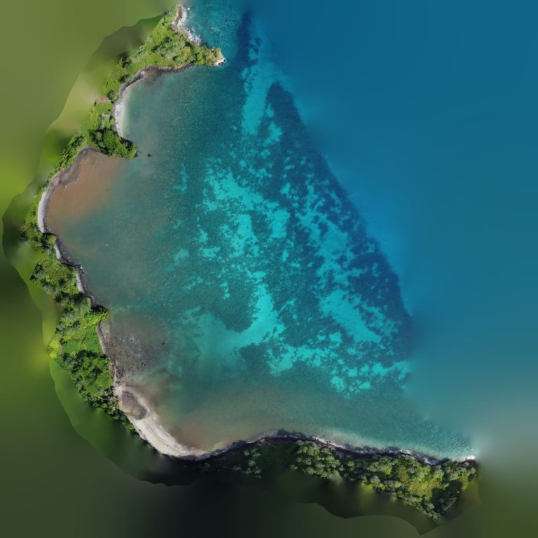 Organización monitorea los arrecifes de coral de la Isla del Coco a través de cartografía 3D
