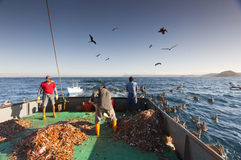 Rodrigo Chaves anuncia que insistirán con los estudios de pesca de arrastre