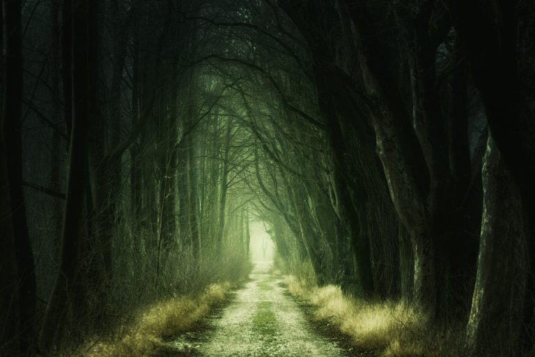 ¿Cómo vencer el miedo y mover mi mundo?