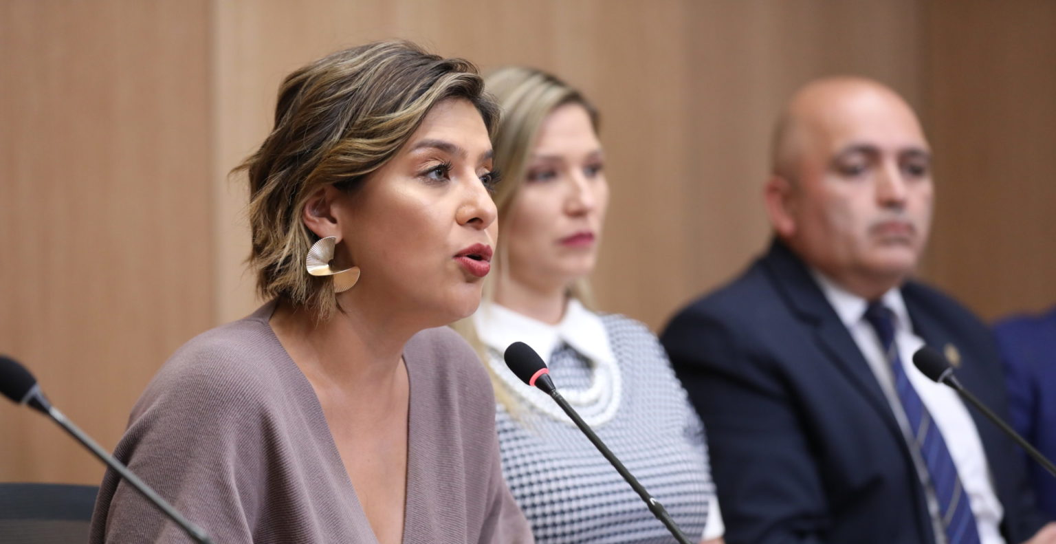 Imagen principal del artículo: Organizaciones declaran "non grata" a diputada Daniela Rojas por impulsar reformas contra la CCSS y el ICE