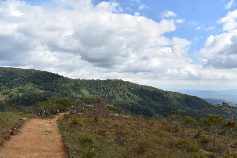 Aclamada como modelo ecológico, Costa Rica se enfrenta a la agitación en sus bosques