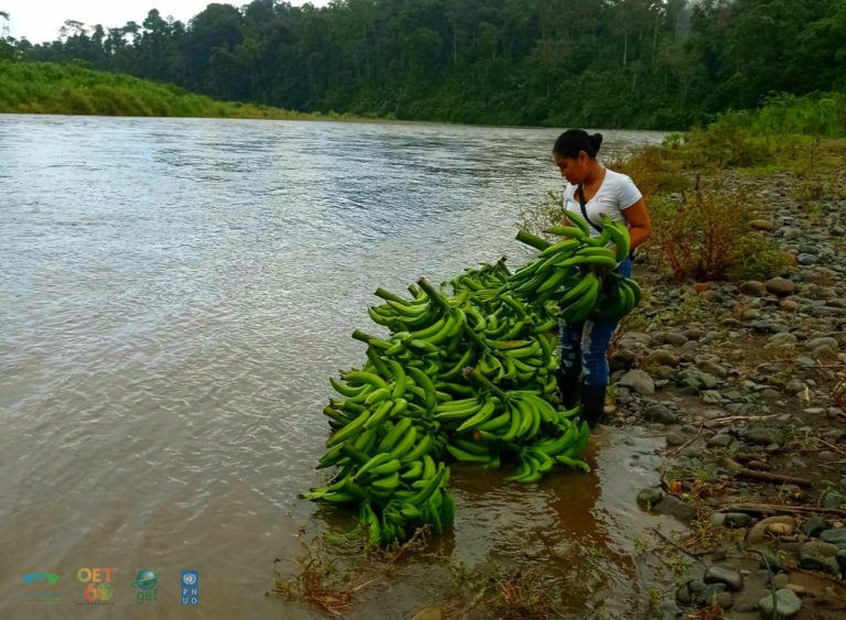 Violencia de género, poca participación y desempleo afectan a Mujeres de la Cuenca Binacional del Río Sixaola