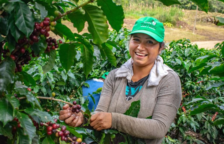Emprendedoras expondrán sus productos en Feria del Agricultor del MAG
