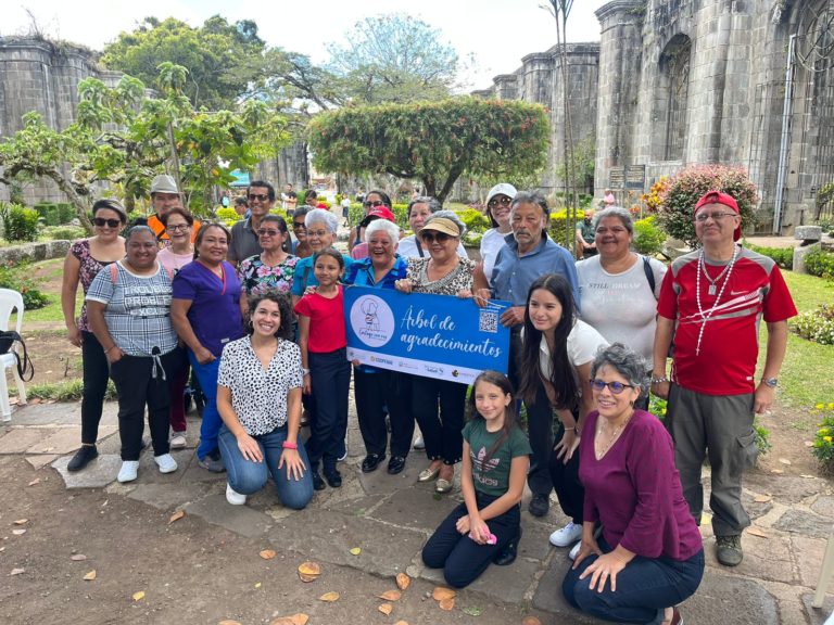 Árbol emblemático en Cartago rinde homenaje a cuidadores y personas enfermas en la etapa final de sus vidas