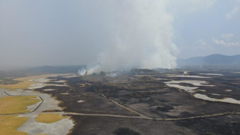 Minae reporta incendio forestal en Parque Nacional Palo Verde que afecta más de mil hectáreas