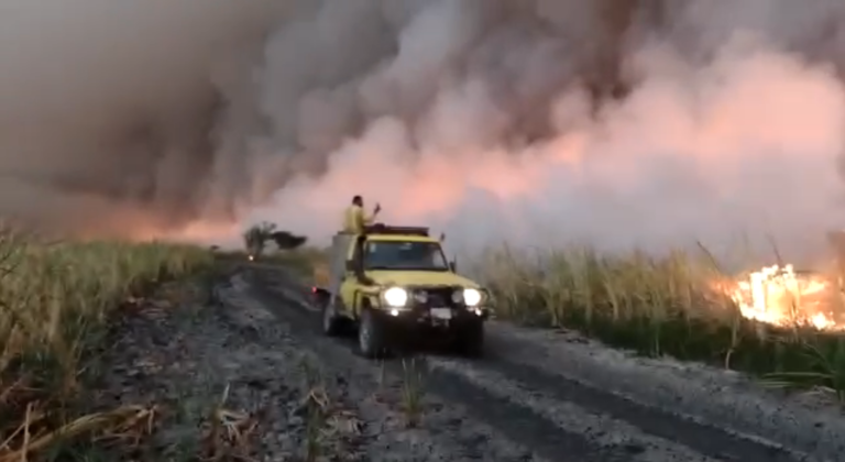 Próximos cinco días serán vitales para liquidar incendio en Parque Nacional Palo Verde