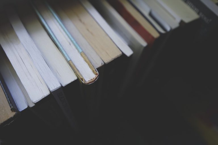 Día Internacional del Libro: Vivencias y aprendizajes de una fiesta agridulce