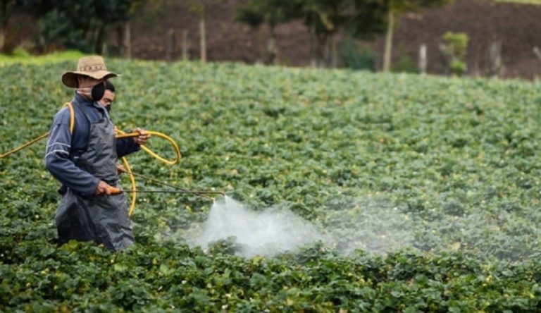 Salud, AyA y Minae recomiendan prohibir el plaguicida clorotalonil