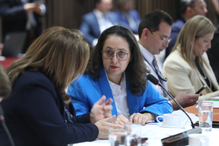 Implotó el PPSD, Luz Mary se queda sola y mal acompañada a la vez