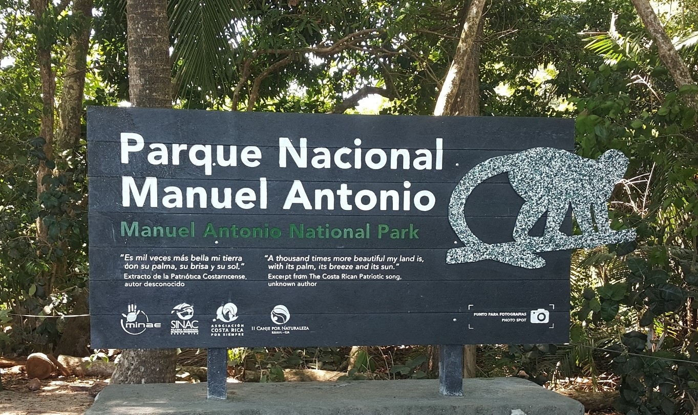 Imagen principal del artículo: Ambientalista advierte que aumento en aforo del Parque Manuel Antonio atenta contra el ecosistema