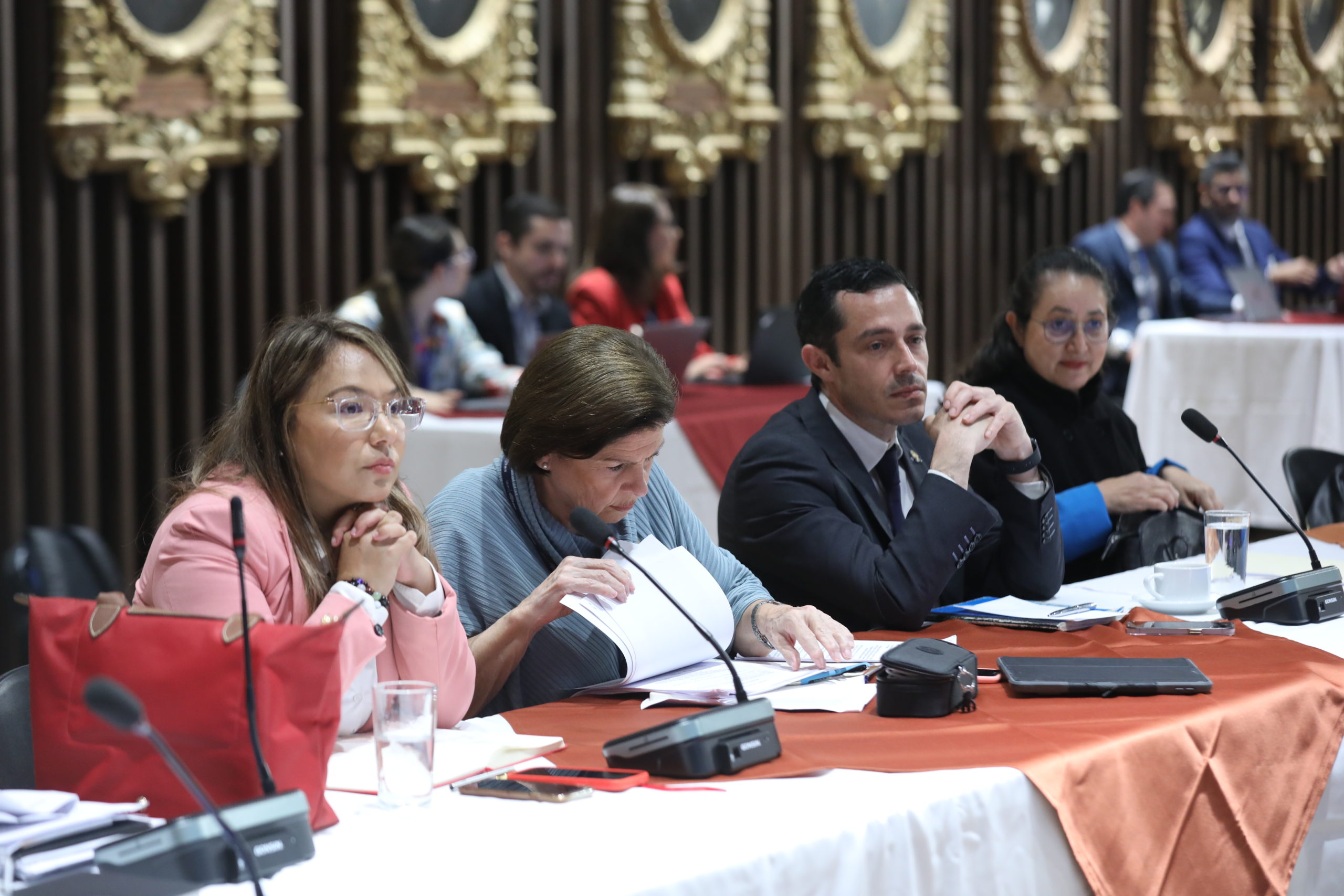 Imagen principal del artículo: Diputada ofrece una nueva definición de transparencia