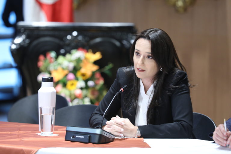 Ministra de la Presidencia se desdice sobre dudas de constitucionalidad en Ley Jaguar
