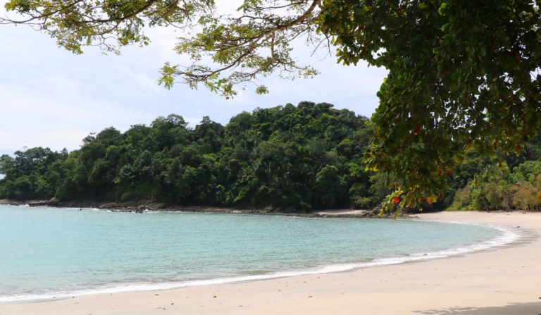 Director regional investigado por caso Manuel Antonio advirtió sobre carencia técnica de ampliar visitación