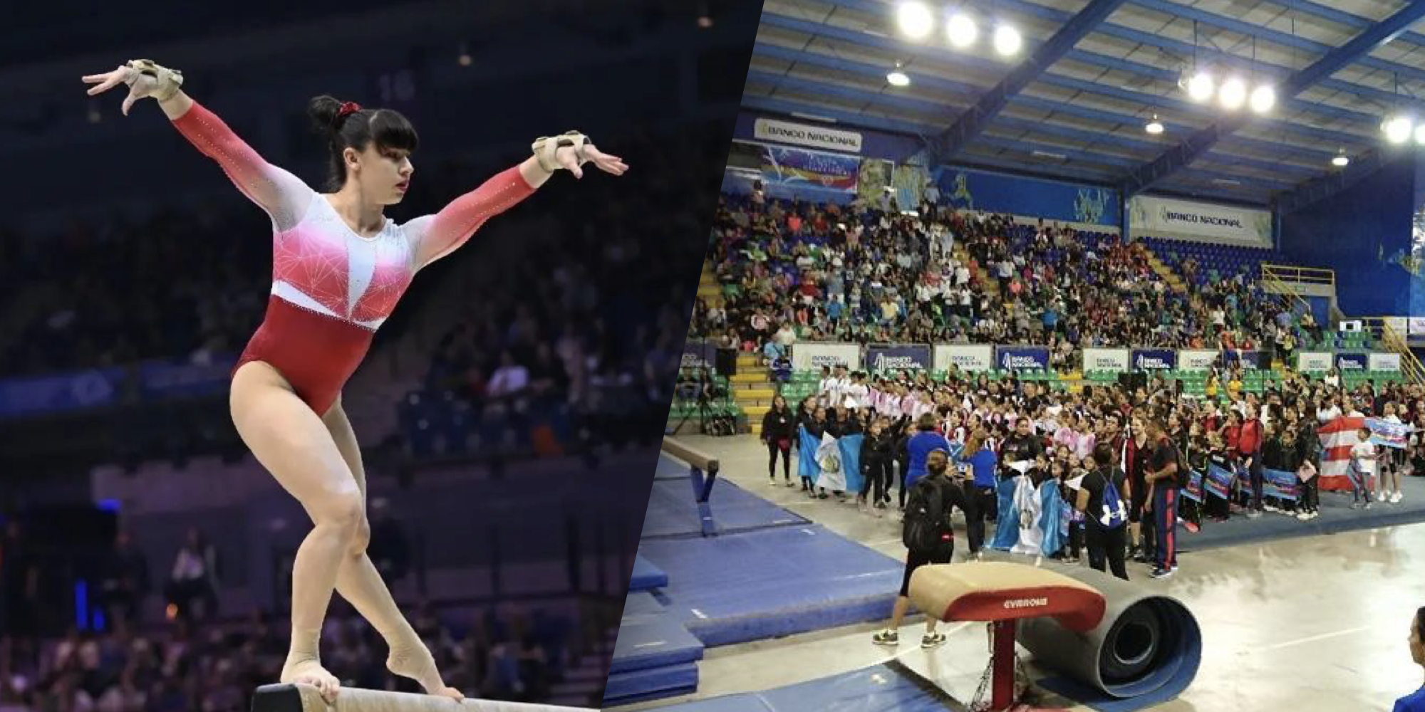 Imagen principal del artículo: Costa Rica albergará torneo internacional de gimnasia que reunirá a más de 600 atletas de América