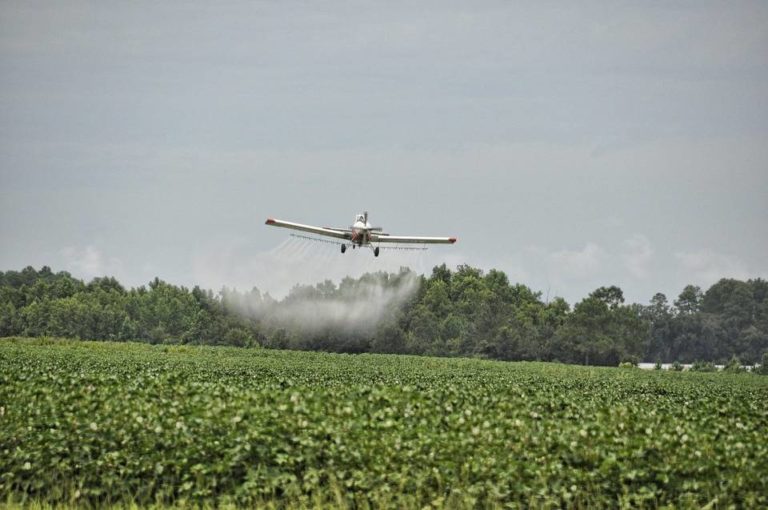 Ambientalistas denuncian peligros a la salud por falta de regulación en fumigación aérea