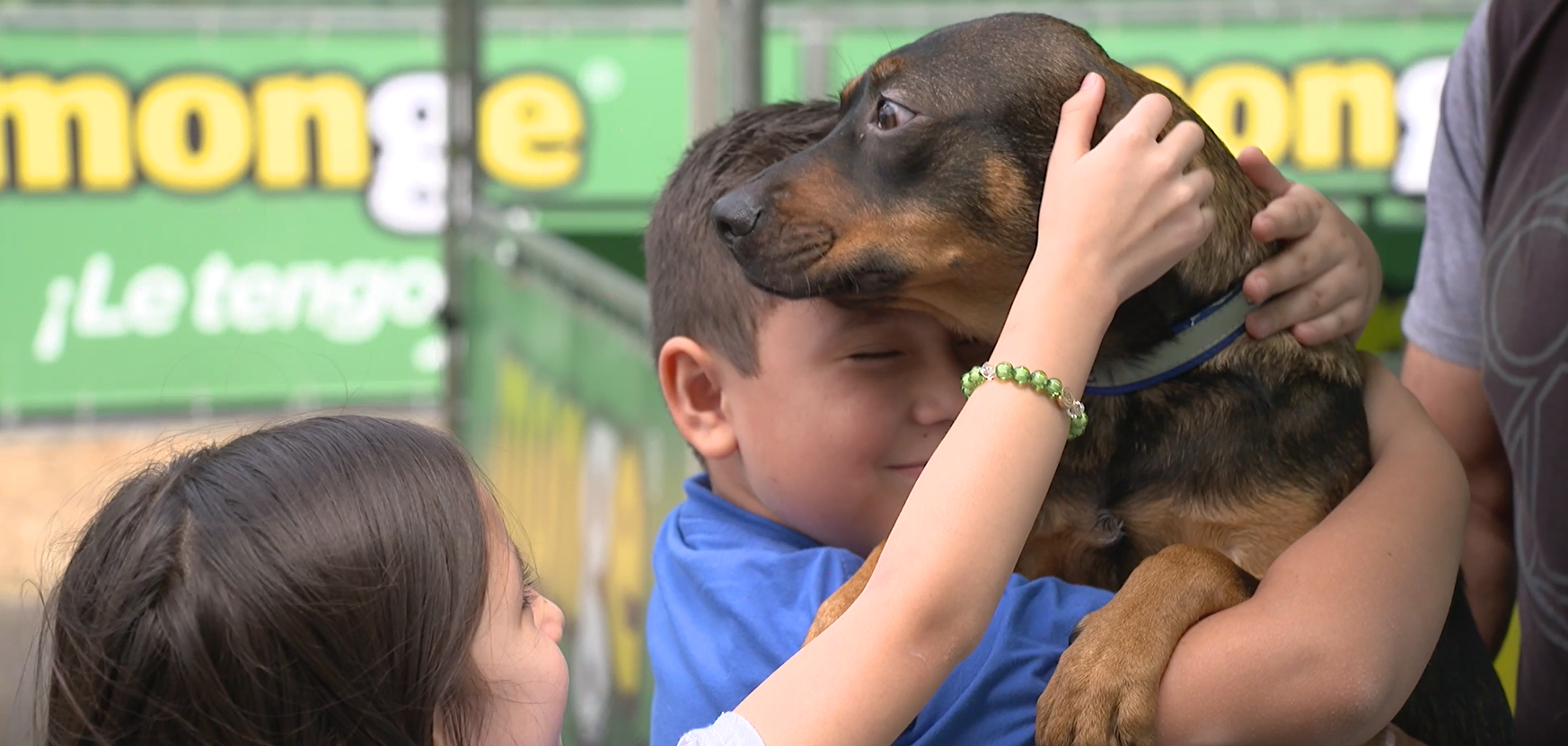Imagen principal del artículo: "Temporada Verde" de Monge tendrá ferias para adoptar plantas y animales y espacios para entrega de residuos
