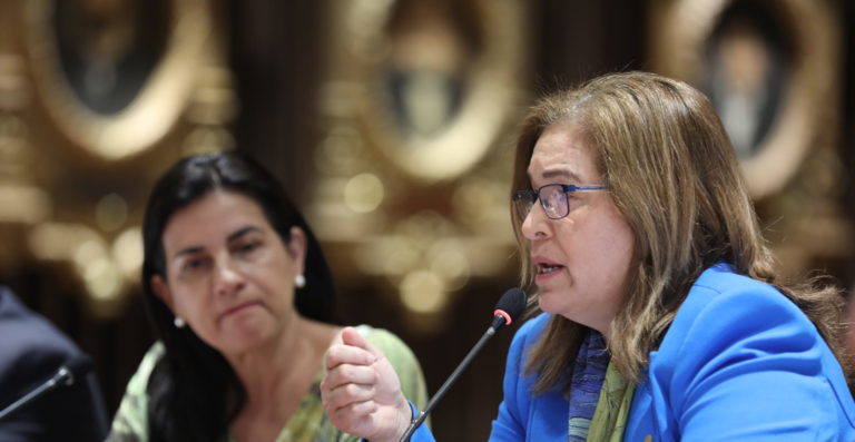Diputada oficialista propone duplicar pauta del Estado dirigida al Sinart